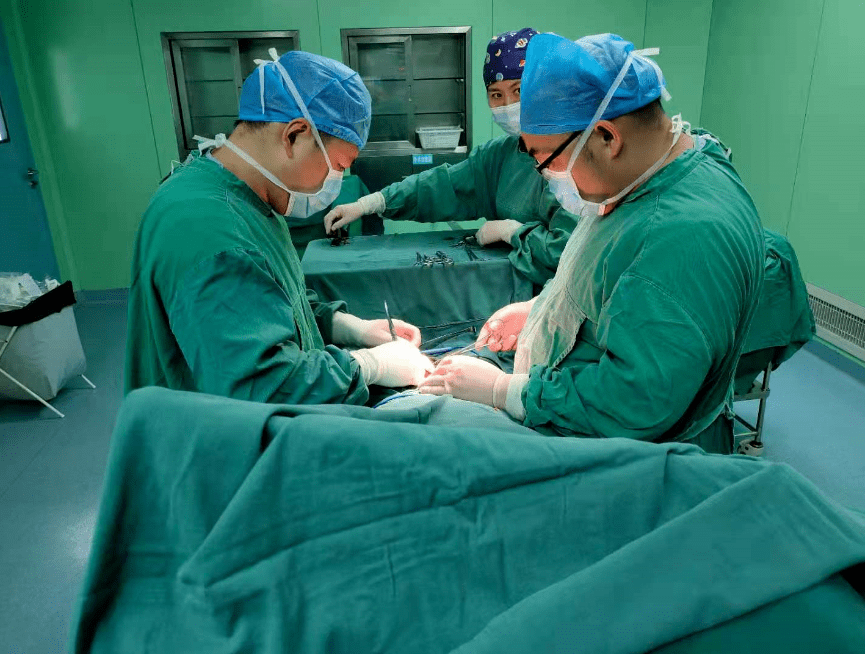 NG大舞台转会期上海久事状态回暖：社区盾节点到来，目标明确，医务组通报恢复的简单介绍